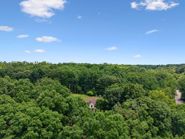 7368 Walker Rd, Fairview, TN 37062