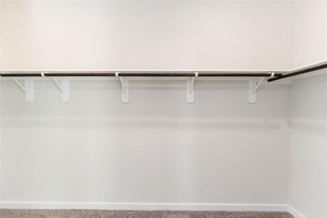 12231 Danza Drive, Willis, TX 77318