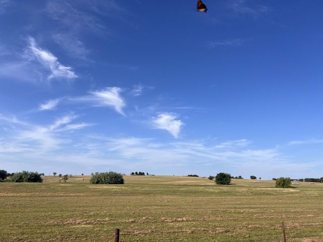 700 County Road 330 RD, Granger, TX 76530