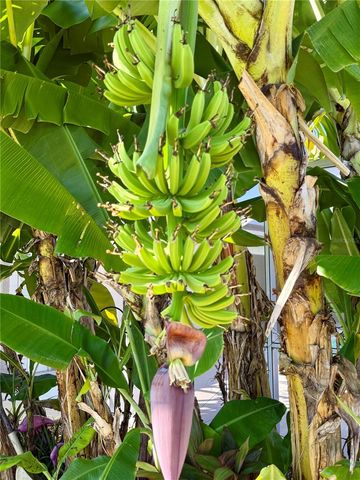 3805 SW 20TH PLACE, Cape Coral, FL 33914