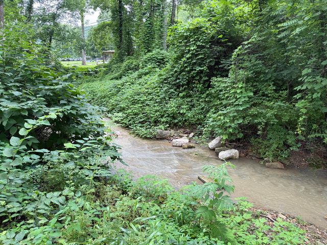 75 Cornwell Station Road, Frenchburg, KY 40322