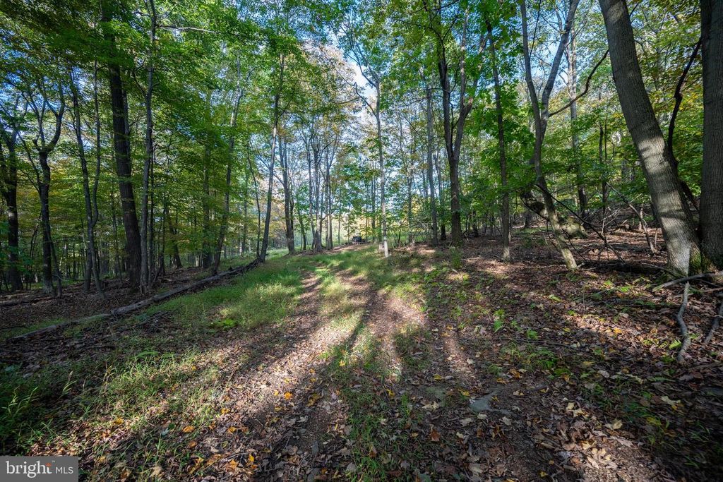 Image 36 of property listing at 15800 SPRUCEWOOD DR, Frostburg, MD 21532