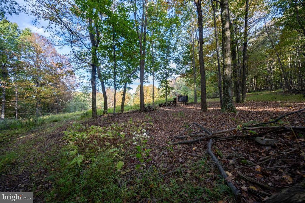 Image 38 of property listing at 15800 SPRUCEWOOD DR, Frostburg, MD 21532