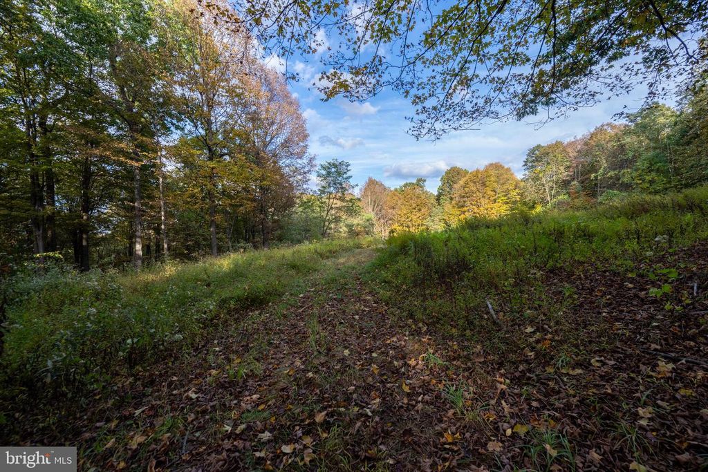Image 39 of property listing at 15800 SPRUCEWOOD DR, Frostburg, MD 21532