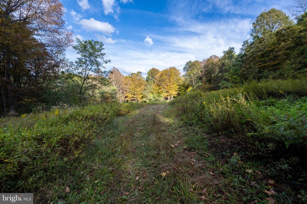 Image 40 of property listing at 15800 SPRUCEWOOD DR, Frostburg, MD 21532