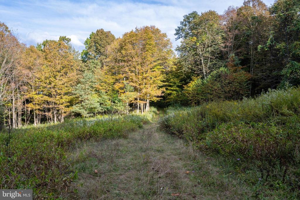 Image 41 of property listing at 15800 SPRUCEWOOD DR, Frostburg, MD 21532