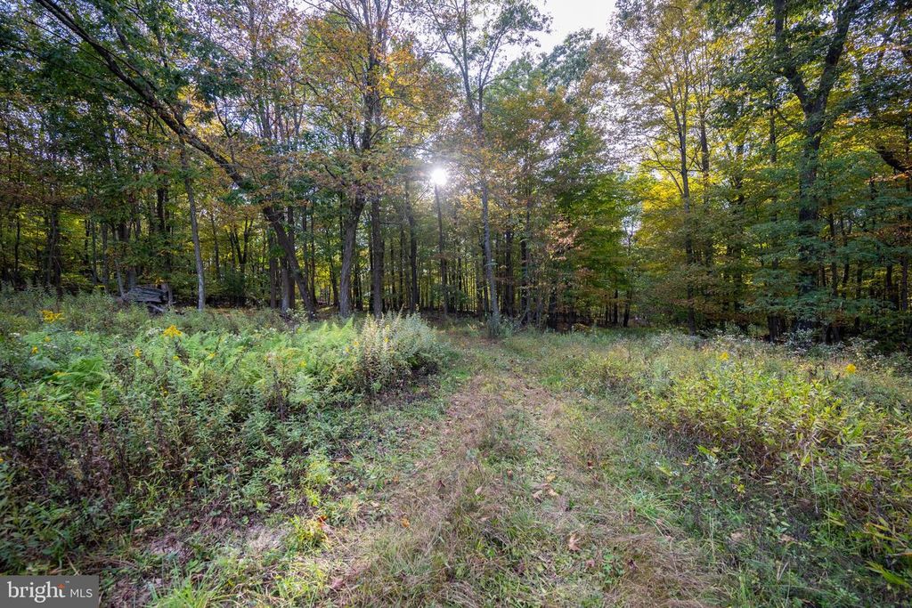 Image 42 of property listing at 15800 SPRUCEWOOD DR, Frostburg, MD 21532