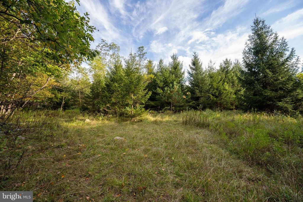 Image 46 of property listing at 15800 SPRUCEWOOD DR, Frostburg, MD 21532
