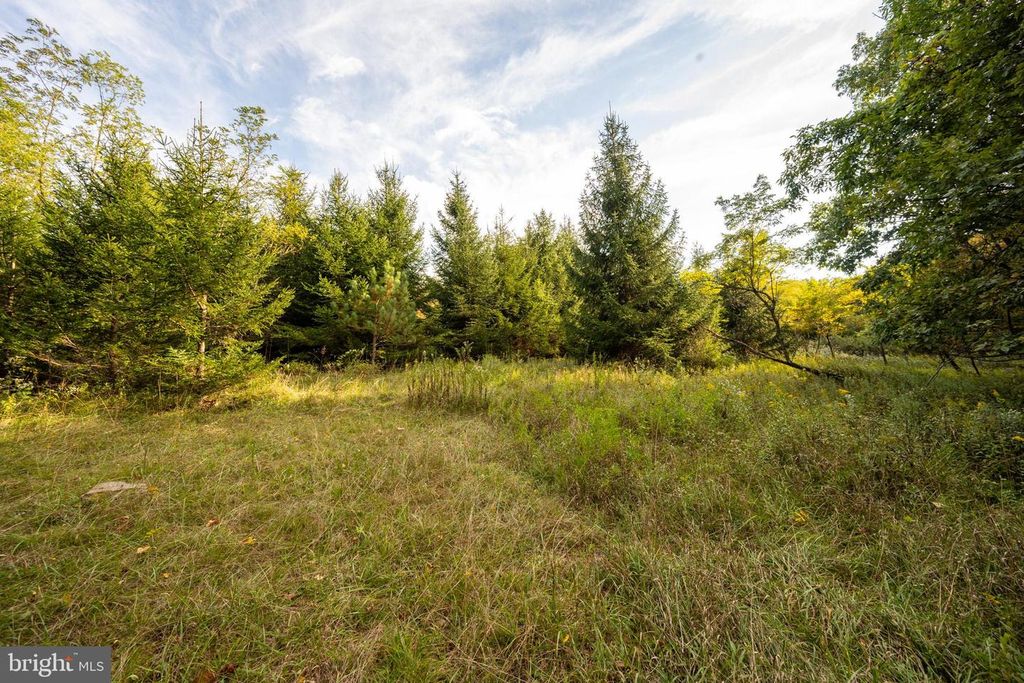 Image 47 of property listing at 15800 SPRUCEWOOD DR, Frostburg, MD 21532