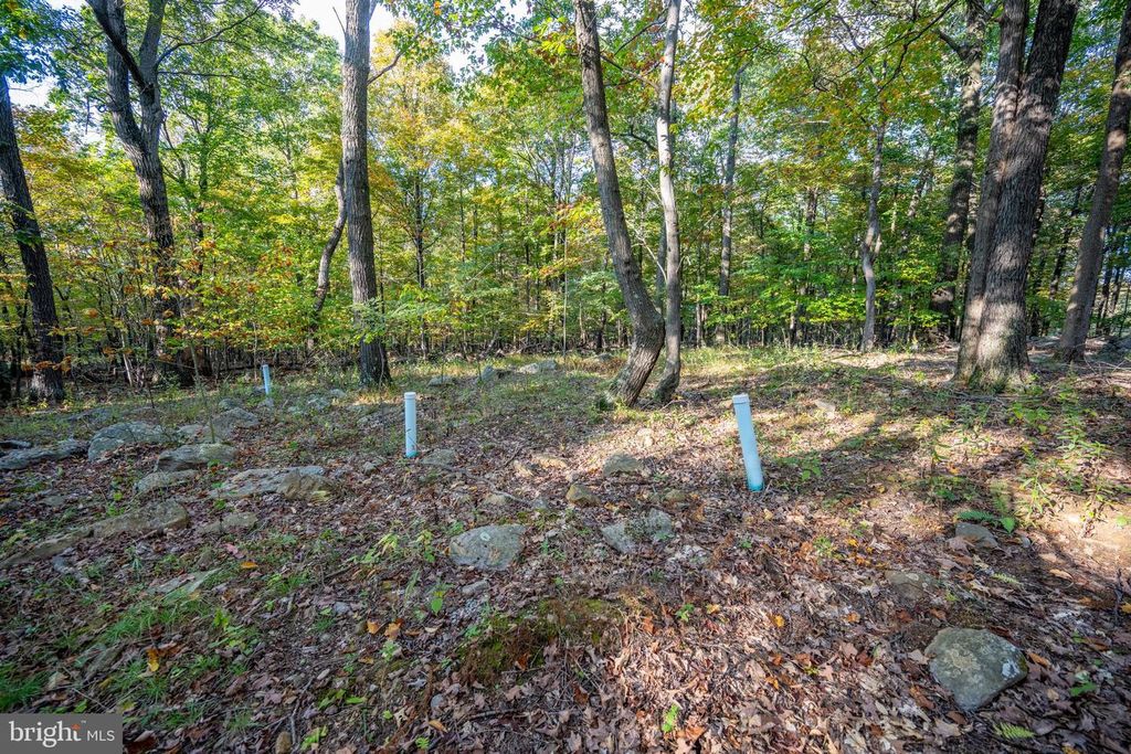 Image 70 of property listing at 15800 SPRUCEWOOD DR, Frostburg, MD 21532