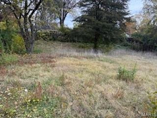 11632 Las Ladera Drive, Florissant, MO 63033