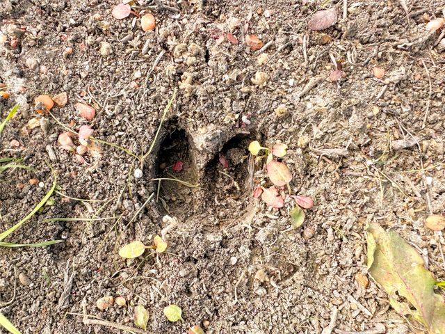 236 Hill County Road 2215, Aquilla, TX 76622