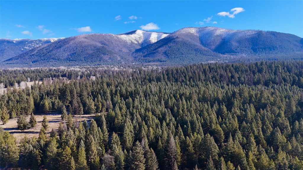 295 Burks Bottom Road, Eureka, MT 59917 photo 11