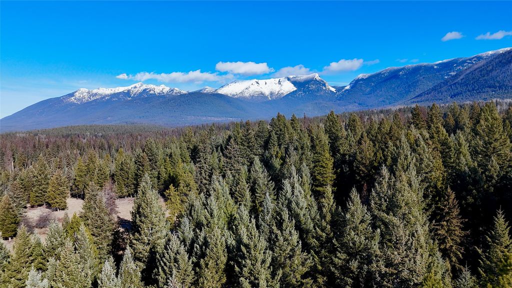 295 Burks Bottom Road, Eureka, MT 59917 photo 14