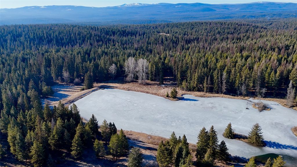 295 Burks Bottom Road, Eureka, MT 59917 photo 18