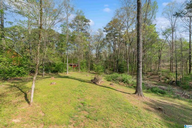 121 TIMBER TRAIL, Chelsea, AL 35043