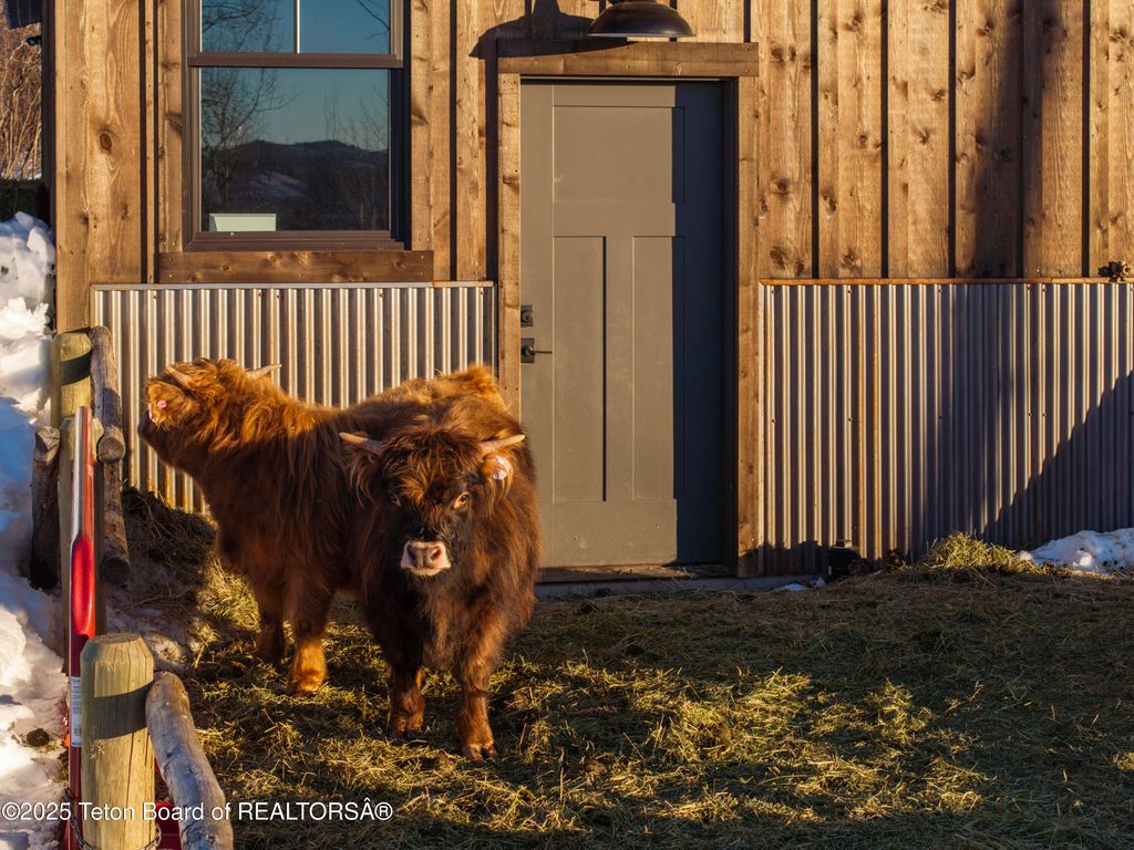 785 STRAWBERRY HILLS DR, Bedford, WY 83112 photo 62