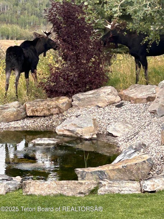 785 STRAWBERRY HILLS DR, Bedford, WY 83112 photo 81