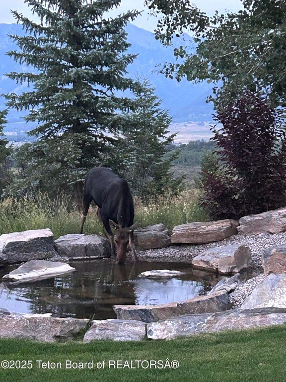 785 STRAWBERRY HILLS DR, Bedford, WY 83112 photo 82