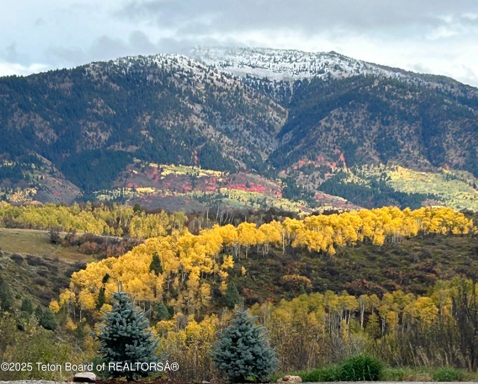 785 STRAWBERRY HILLS DR, Bedford, WY 83112 photo 83