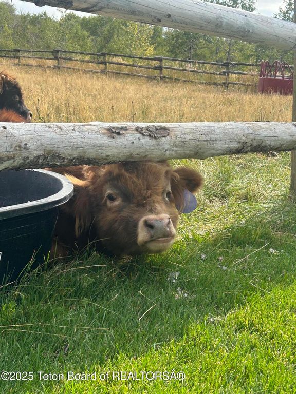 785 STRAWBERRY HILLS DR, Bedford, WY 83112 photo 87