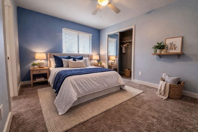 17844 Park Valley DR, Round Rock, TX 78681