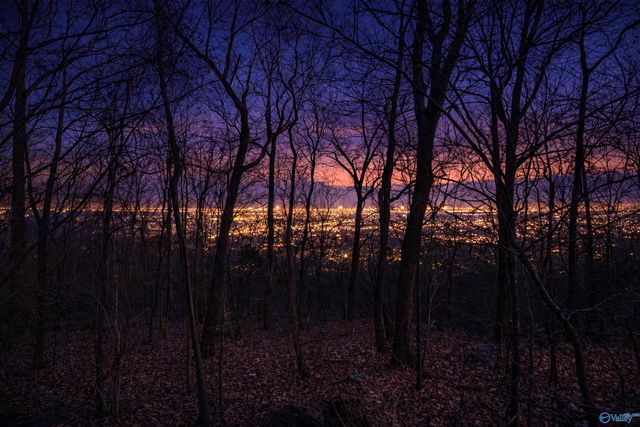 187 Stoneway Trail, Madison, AL 35758