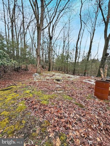 160 NAULTON RD, Curwensville, PA 16833