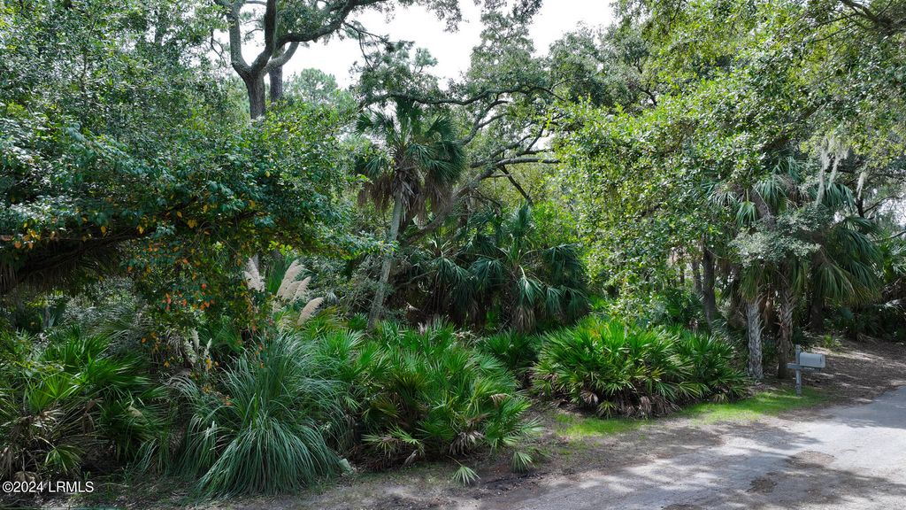 372 Pike Drive, Fripp Island, SC 29920