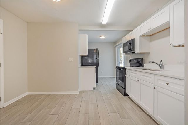 1070 EMERALD DRIVE, Mount Dora, FL 32757