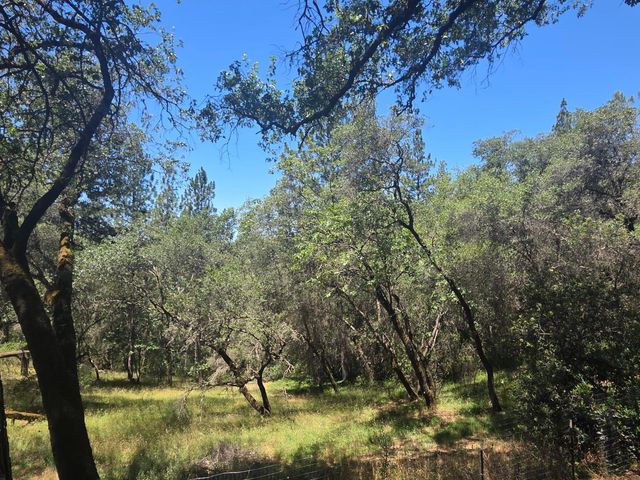 595 Valley Ridge Ct, Auburn, CA 95603