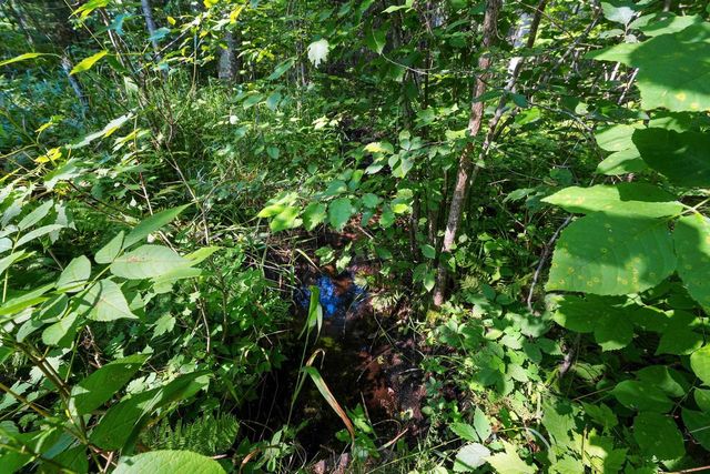 W6380 COUNTY RD K, Amberg, WI 54102