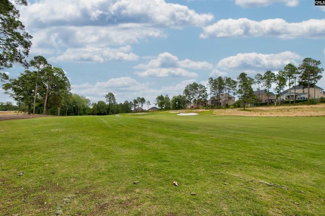 134 Backspin Drive, Elgin, SC 29045