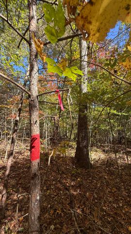 00 Owl Hollow Road Lot 7, Palmer, TN 37365
