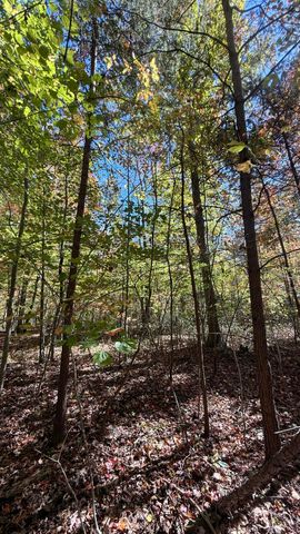 00 Owl Hollow Road Lot 7, Palmer, TN 37365