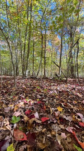 00 Owl Hollow Road Lot 7, Palmer, TN 37365