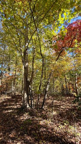 00 Owl Hollow Road Lot 7, Palmer, TN 37365