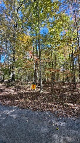 00 Owl Hollow Road Lot 7, Palmer, TN 37365
