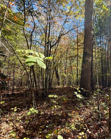 00 Owl Hollow Road Lot 7, Palmer, TN 37365