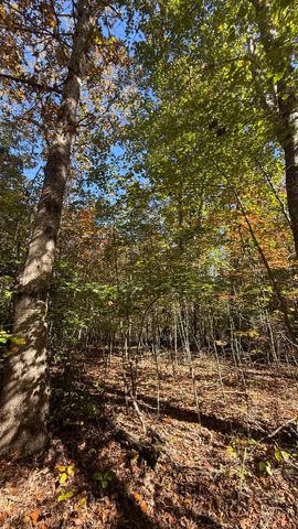 00 Owl Hollow Road Lot 7, Palmer, TN 37365