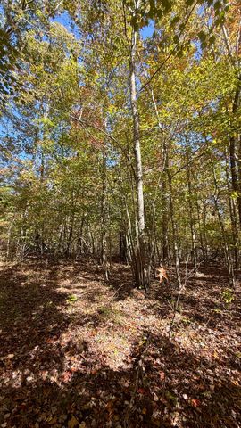 00 Owl Hollow Road Lot 7, Palmer, TN 37365