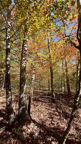 00 Owl Hollow Road Lot 7, Palmer, TN 37365