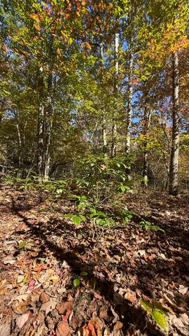 00 Owl Hollow Road Lot 7, Palmer, TN 37365