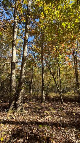 00 Owl Hollow Road Lot 7, Palmer, TN 37365