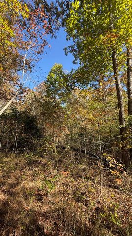 00 Owl Hollow Road Lot 7, Palmer, TN 37365