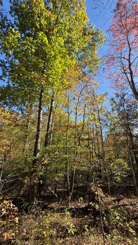 00 Owl Hollow Road Lot 7, Palmer, TN 37365