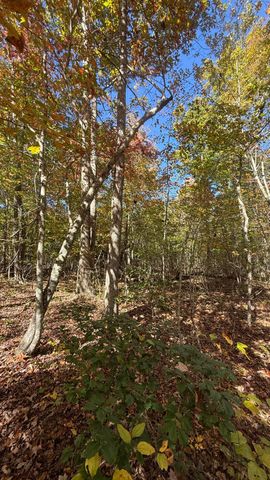 00 Owl Hollow Road Lot 7, Palmer, TN 37365