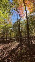 00 Owl Hollow Road Lot 7, Palmer, TN 37365