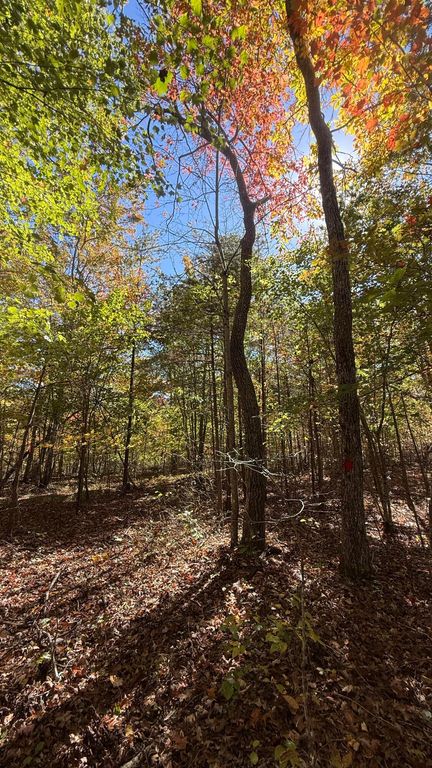 00 Owl Hollow Road Lot 7, Palmer, TN 37365