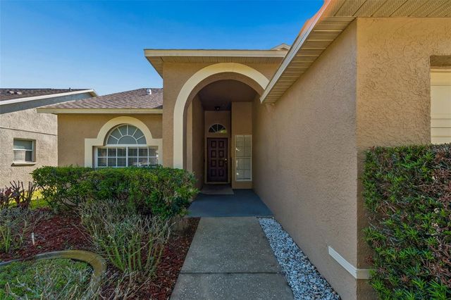 1250 SALT CLAY COURT, Wesley Chapel, FL 33544